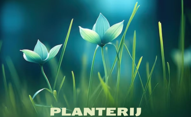 planterij